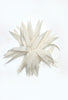 Flower Brooch, Vanilla from ODEEH 